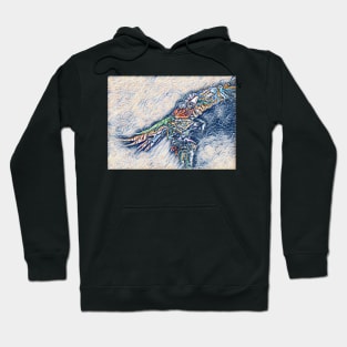 Macaw 18 Hoodie